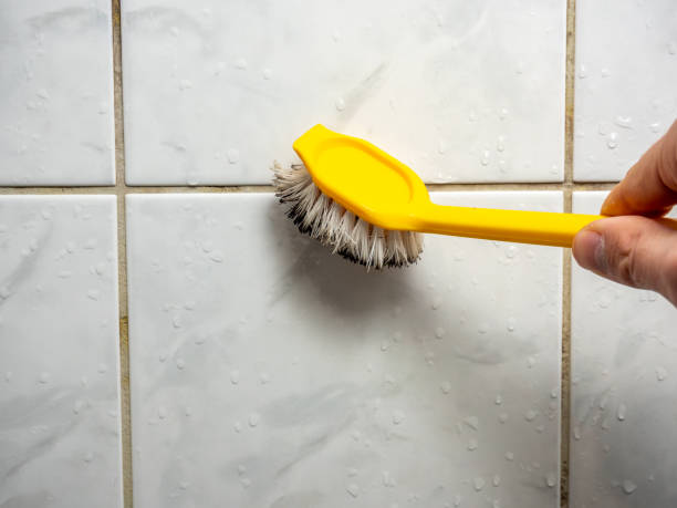 Best Mold Testing  in Rio Vista, CA