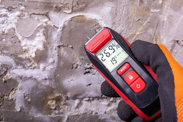Best Mold Testing  in Rio Vista, CA
